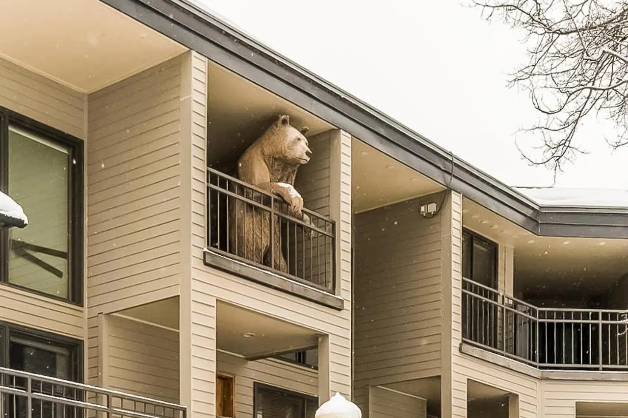 Cimarron Mountain Retreat Apartment