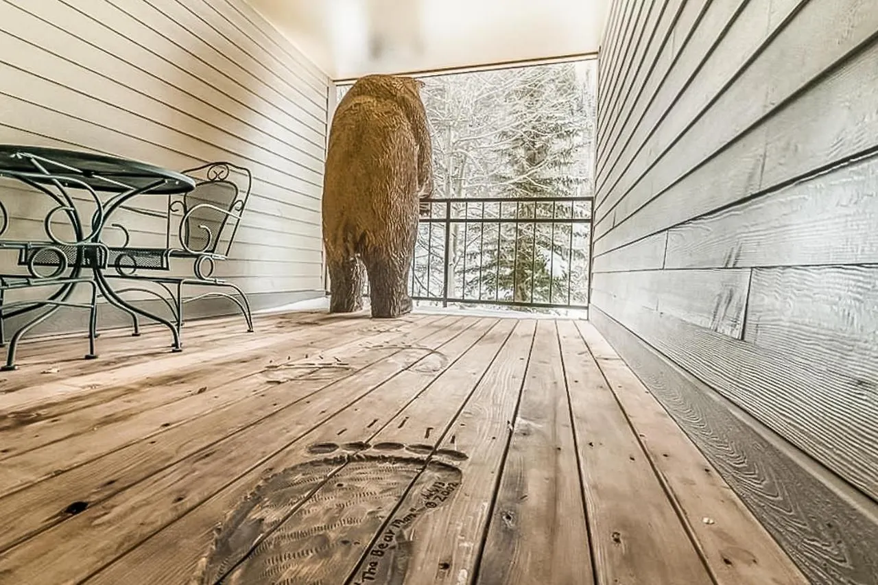 Apartment Cimarron Mountain Retreat Telluride
