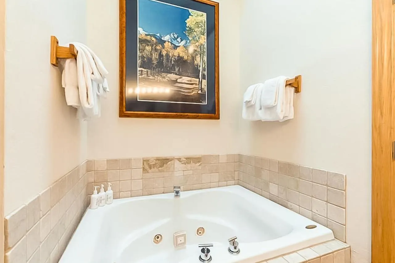 Cimarron Mountain Retreat Telluride