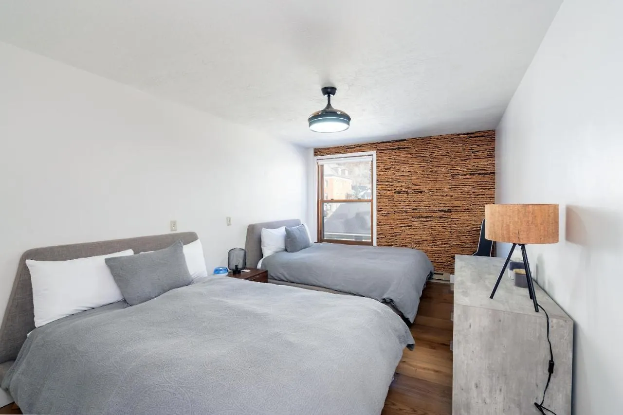 Colorado Ave East 101 - Loft House Apartment Telluride