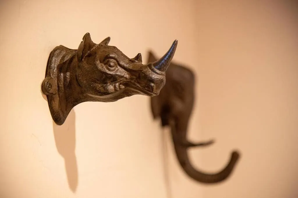 Blue Collar Boutique: Affordable Adventure Aparthotel