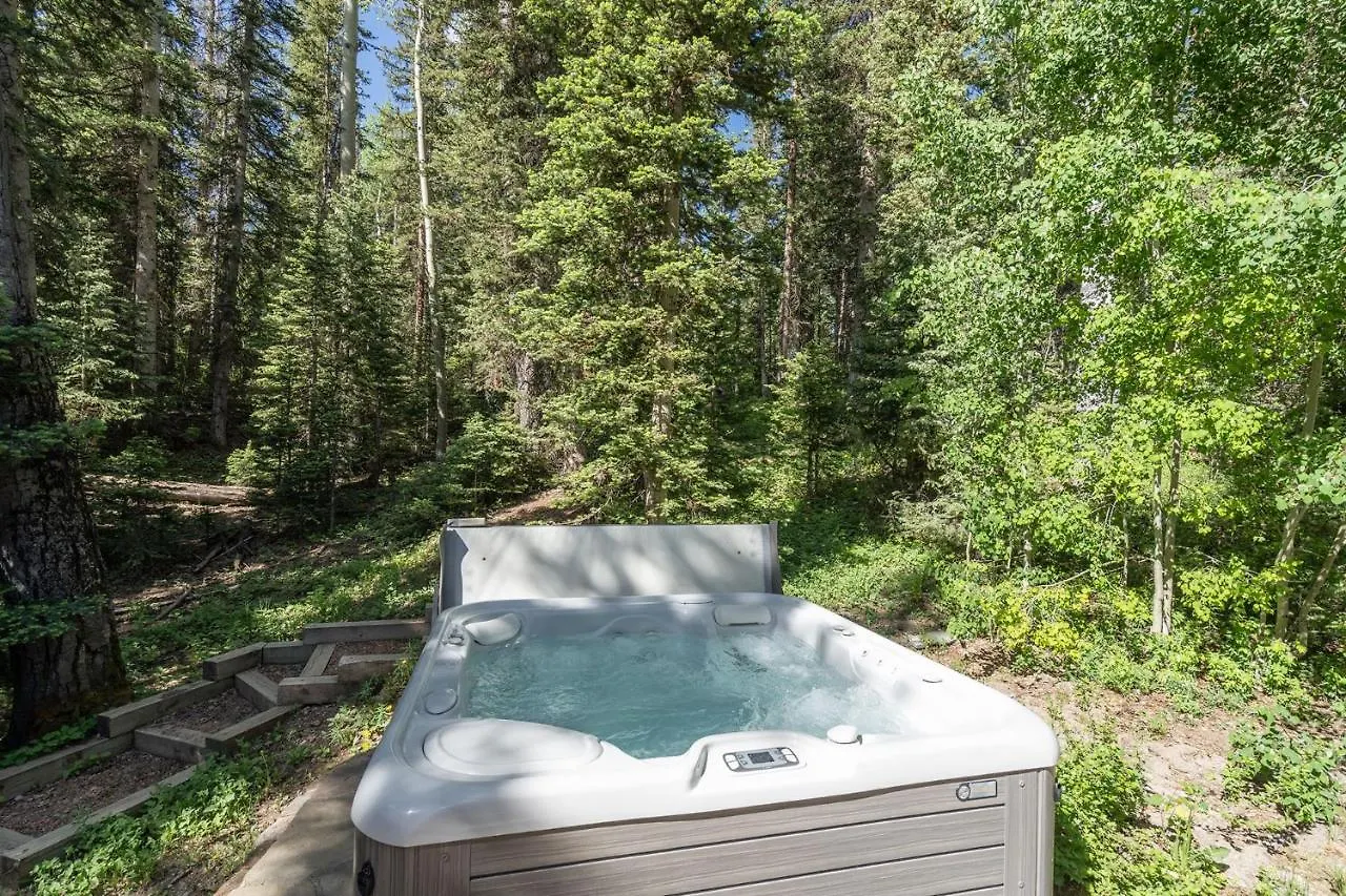 Back Door In Out - Fireplace, Hot Tub, Huge Views - Alpine Luxury At Copper Hollow Holiday home Telluride
