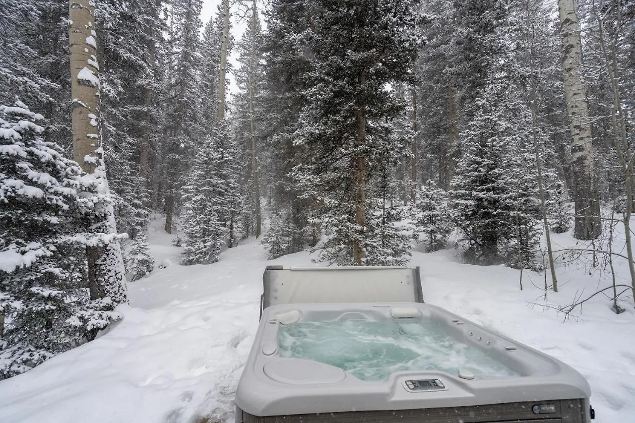 Holiday home Back Door In Out - Fireplace, Hot Tub, Huge Views - Alpine Luxury At Copper Hollow