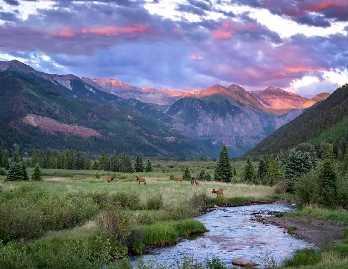 Walk To Ski, Stylish & Bright! Ground Floor, Hot Tub, Pool Apartment Telluride
