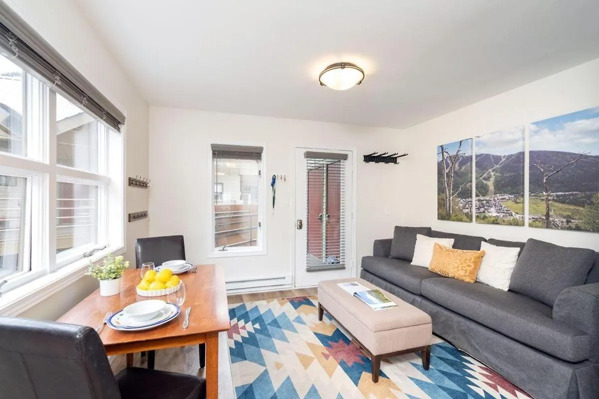 Apartment Cloud Nine, Walk To Gondola, Floor On River & Hot Tub Telluride