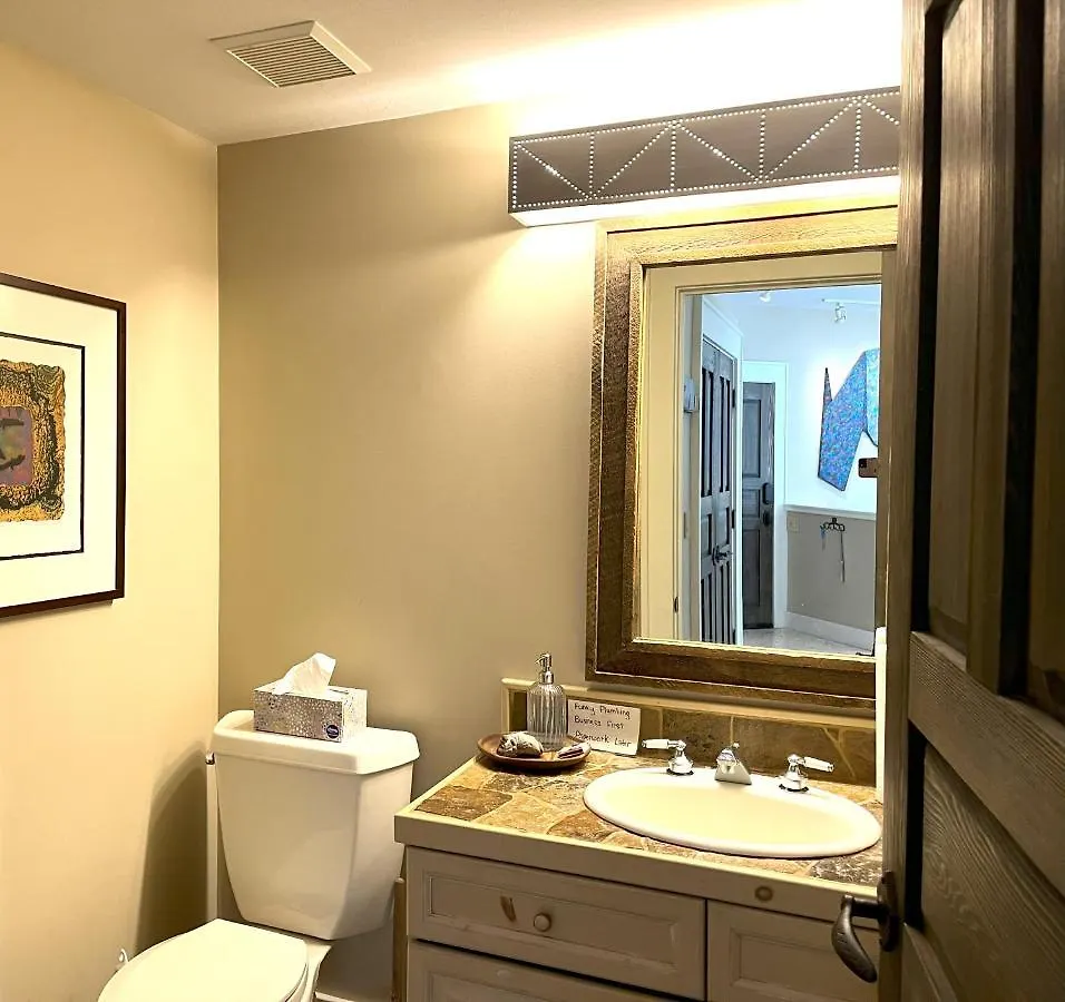 Penthouse #2 At Diamondtooth - Location And Views! Apartment Telluride