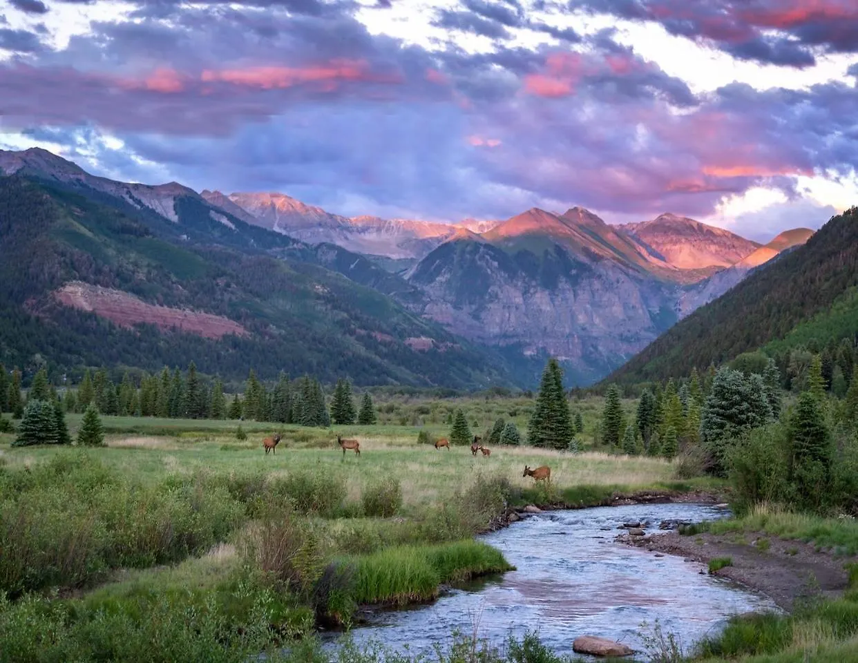 Riverside A03 Telluride