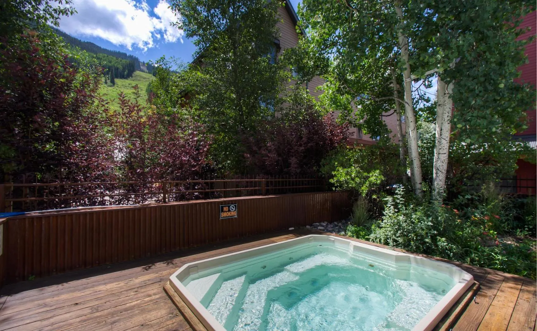 Spacious In Telluride-beautiful West Views! * Telluride