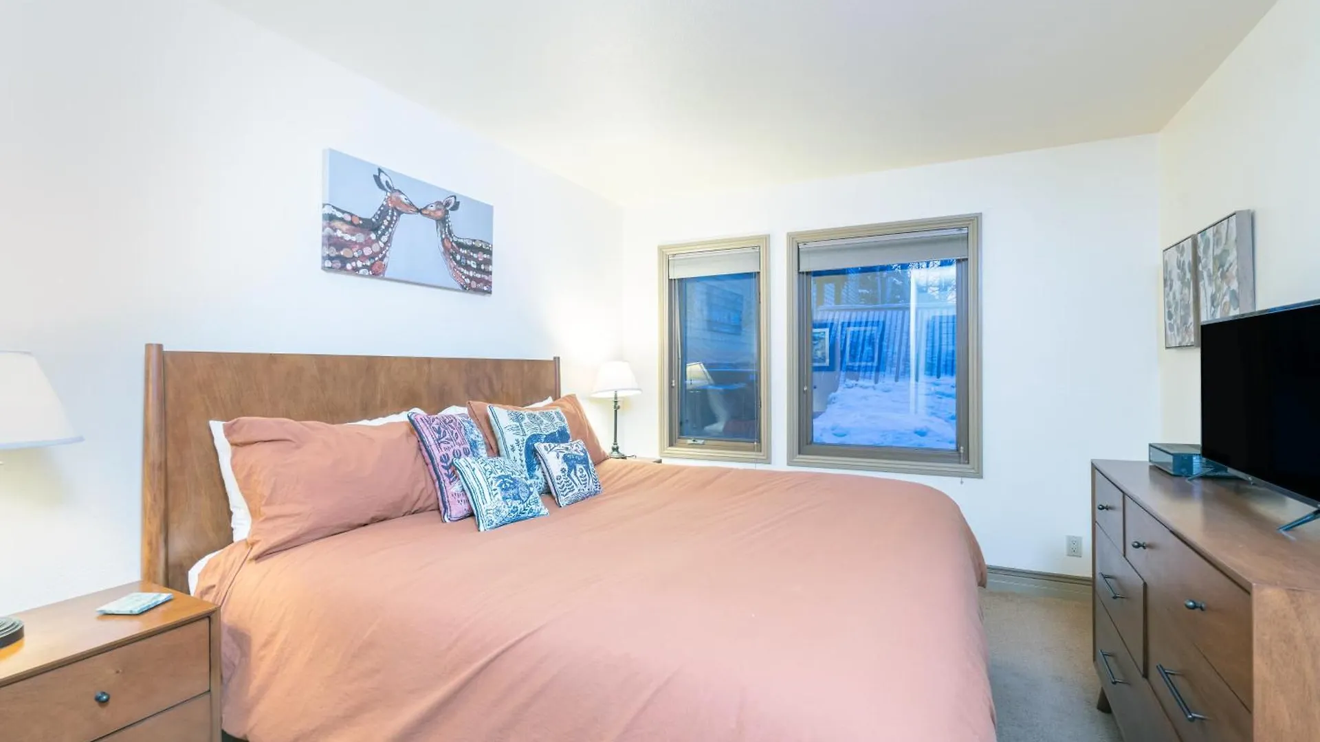 Ski-in Ski-out Ground Floor Easy Access Holiday home Telluride