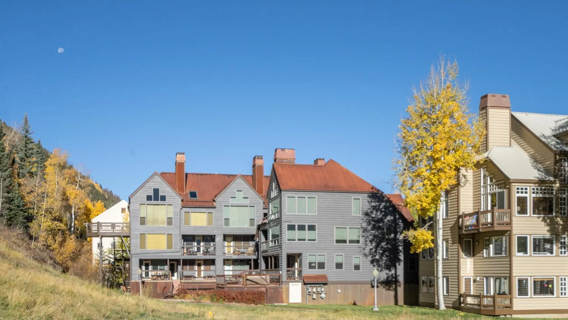 Cozy Steps To Coonskin Lift Holiday home Telluride