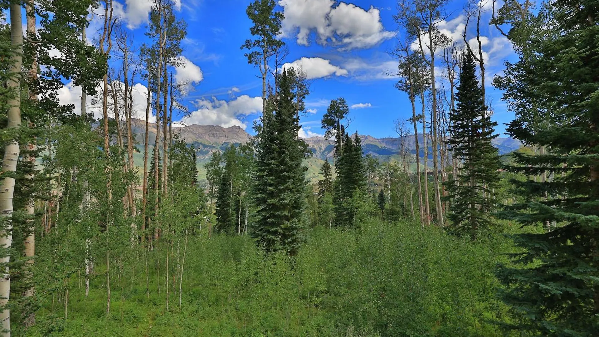 Holiday home Mountain Village Marvel With Hot Tub And Gym! Telluride