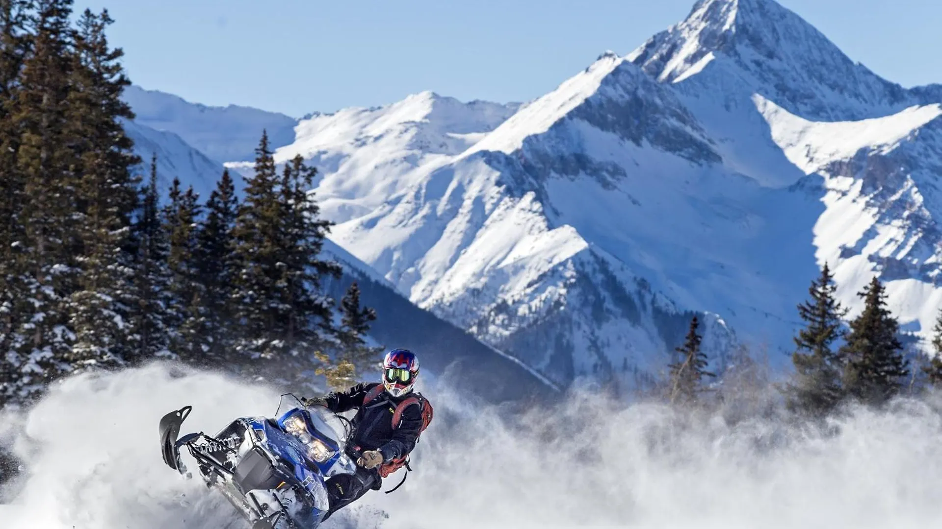 Riverfront, Blocks To - Mtn Views, Hot Tub At Viking 217 Telluride