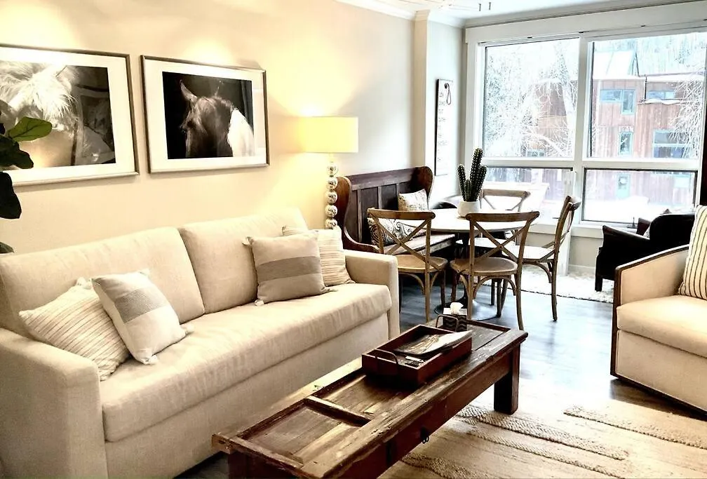 Designer Unit -center Of Town Of Telluride, Steps To Gondola And Town Park *