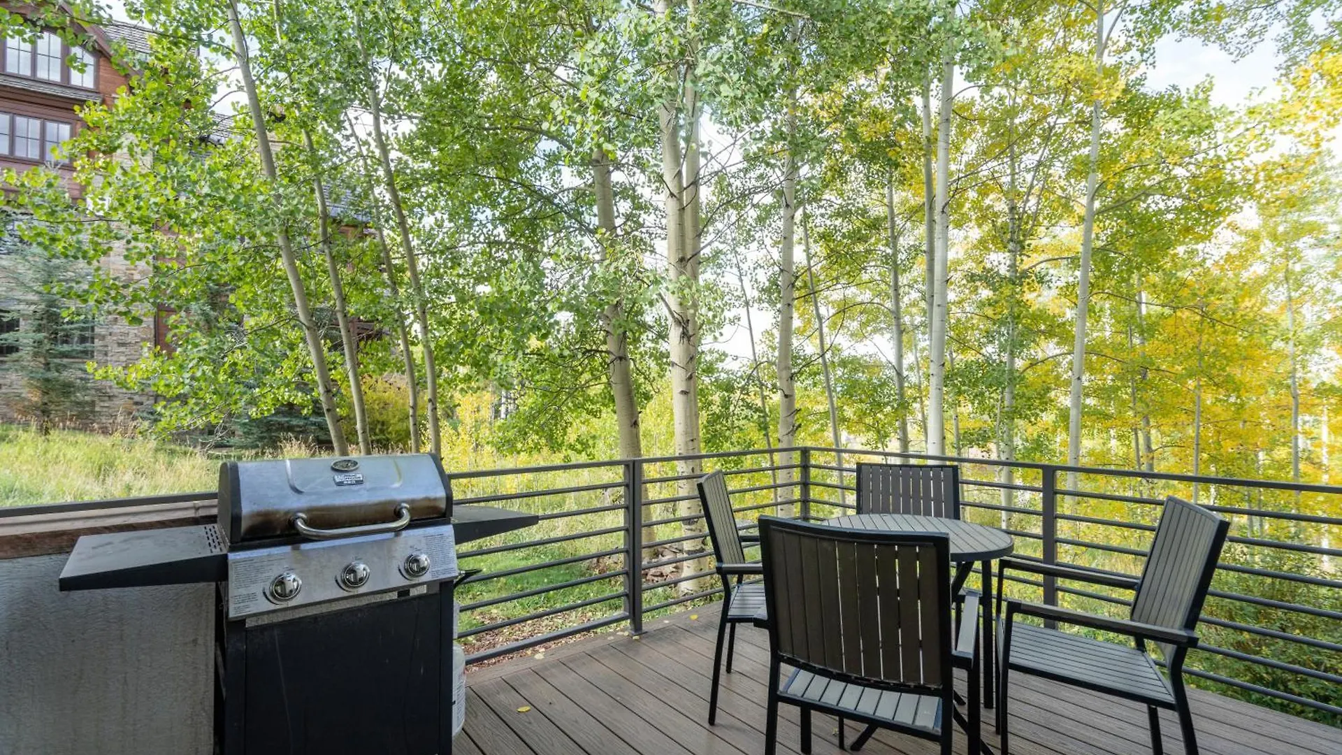 In Out Village Creek In The Mountain Village Core Holiday home Telluride