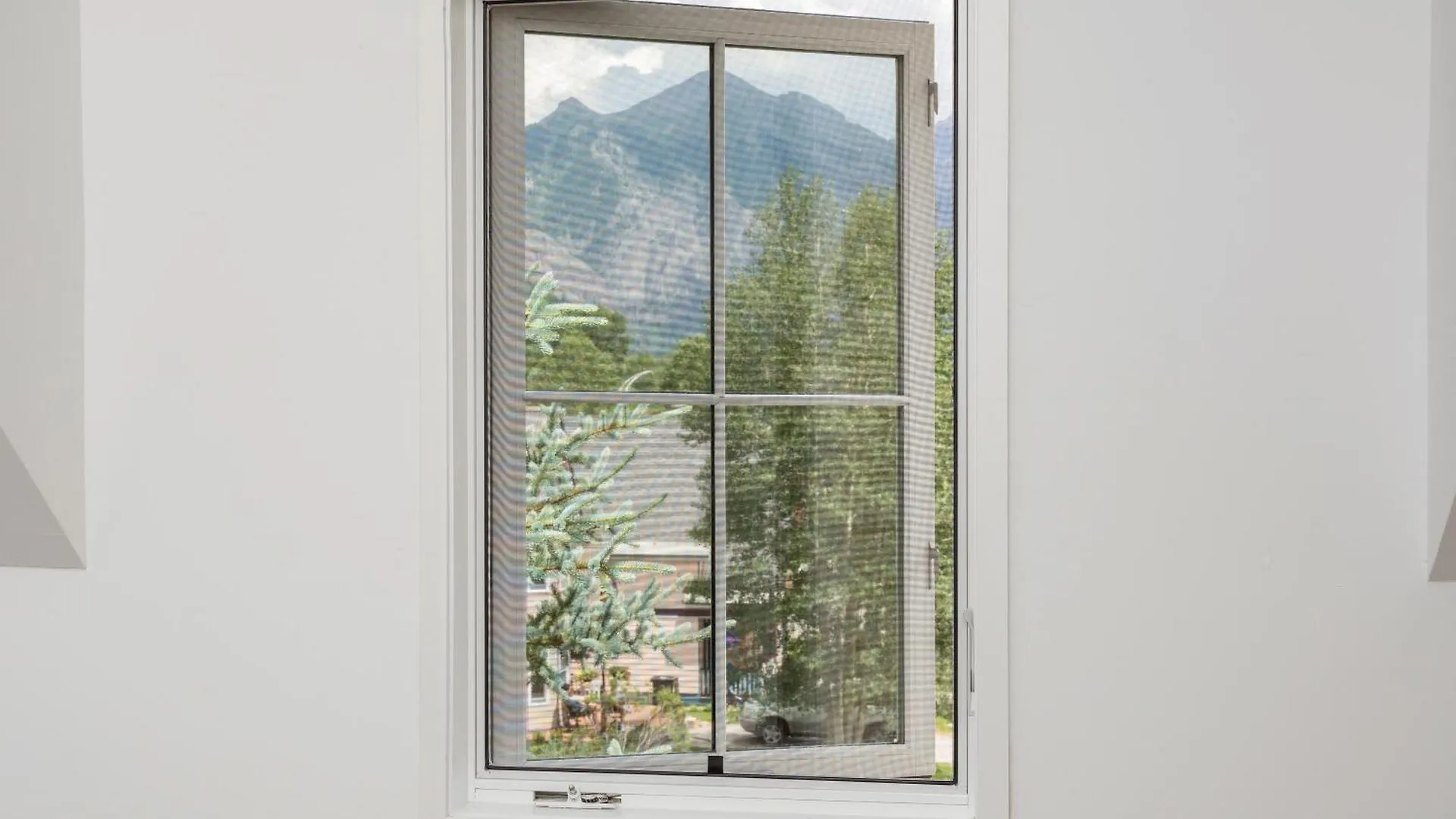 Will Brand New Mountain Contemporary *