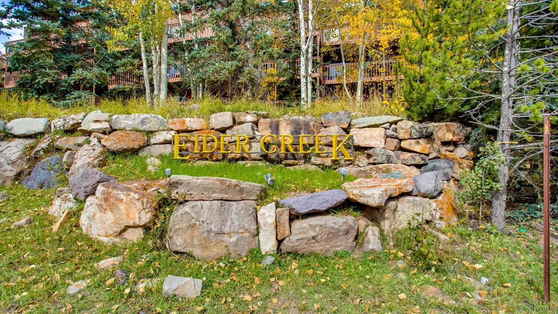 Cozy Near And Hiking