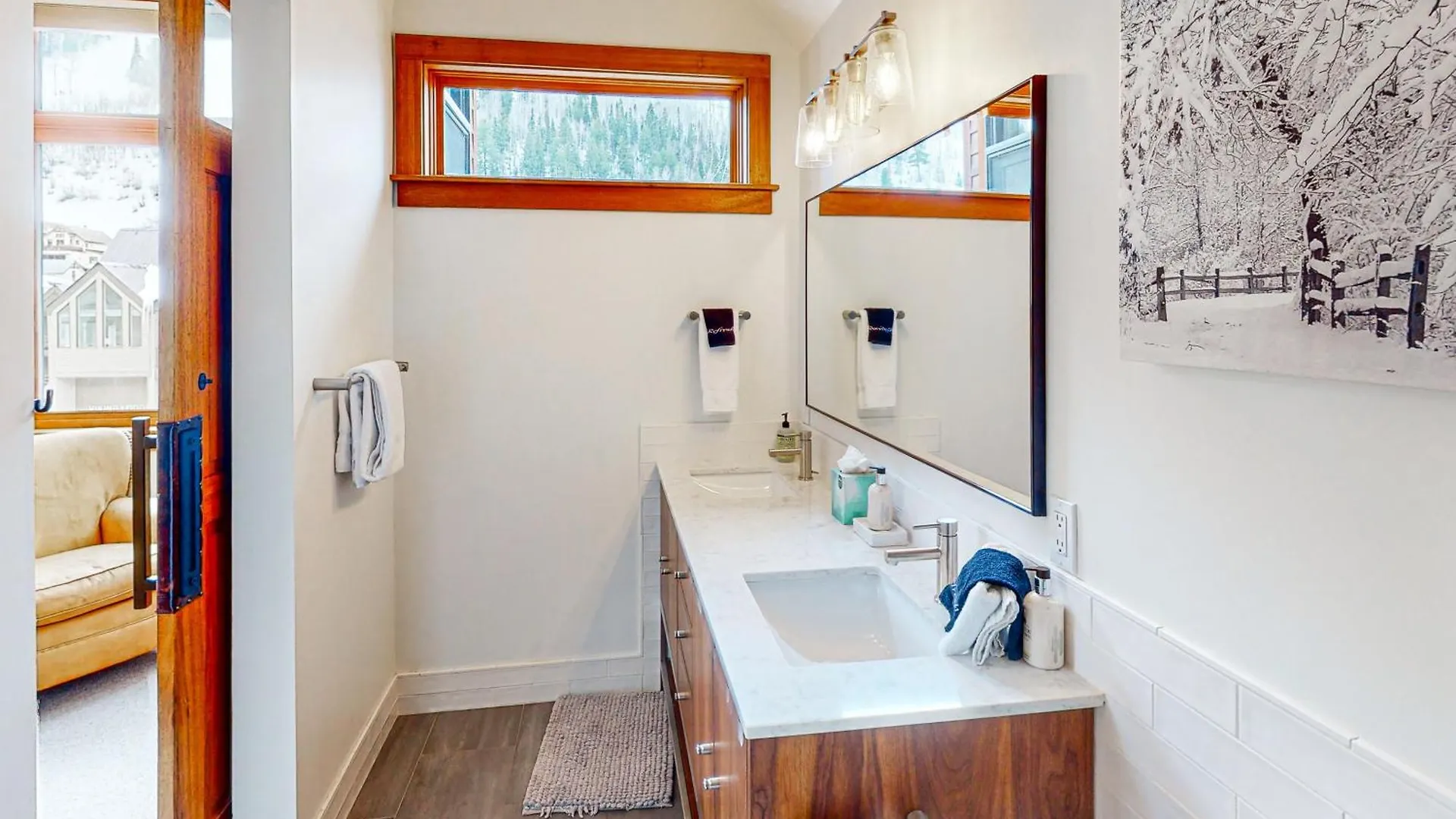 Cornet Creek Apartment Telluride