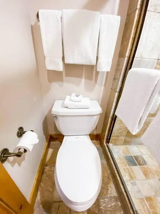 Holiday home 2 Bedroom - Luxury Skiin And Out Telluride