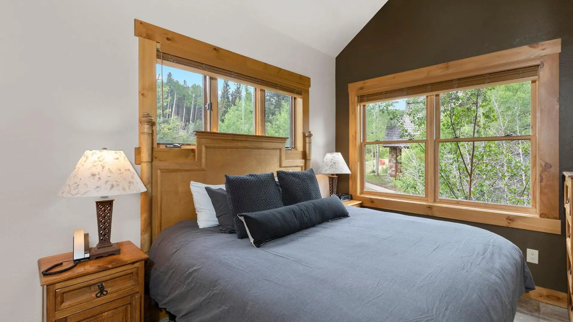 2 Bedroom - Luxury Skiin And Out Holiday home Telluride