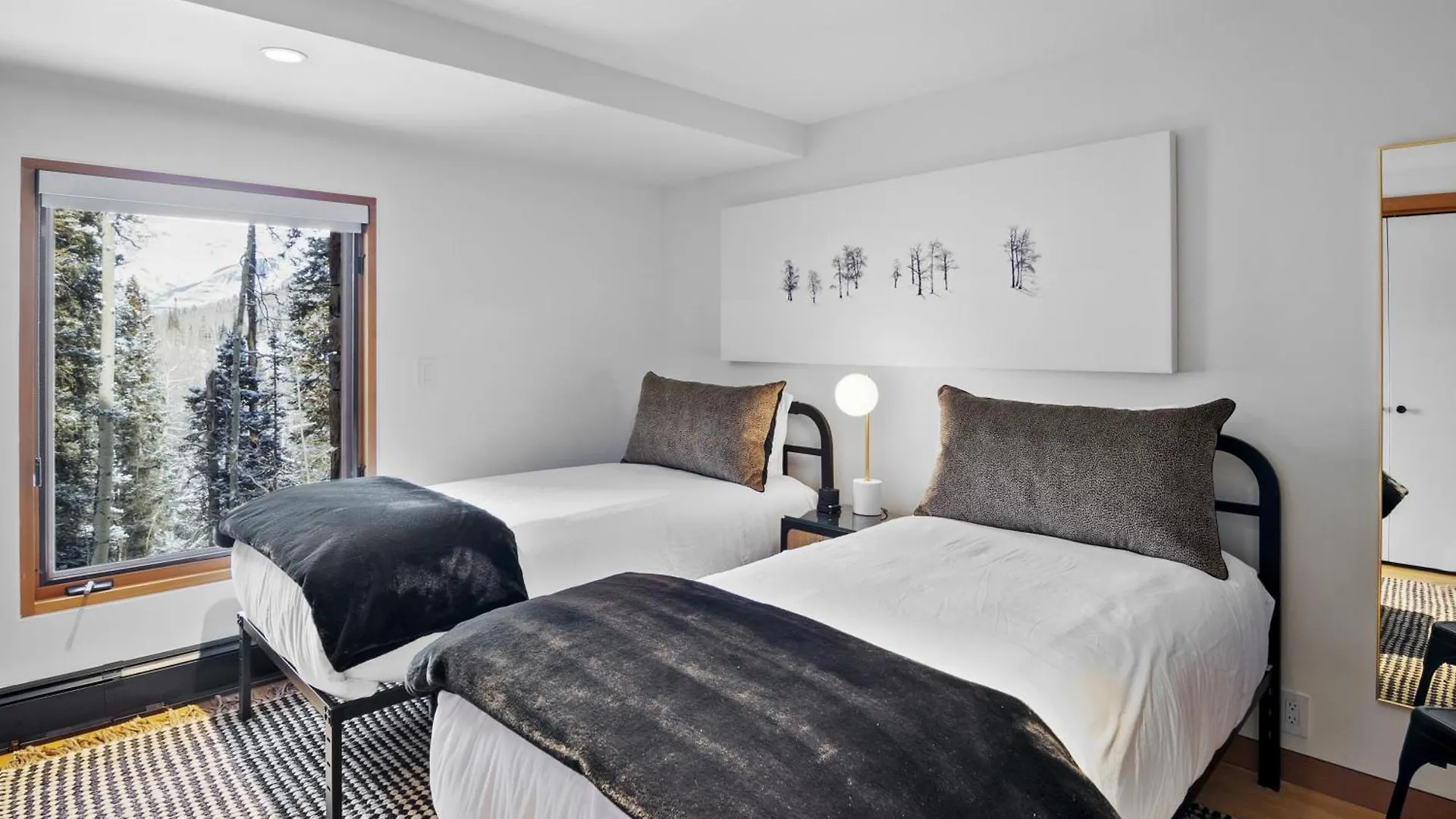 Four-bedroom House Telluride