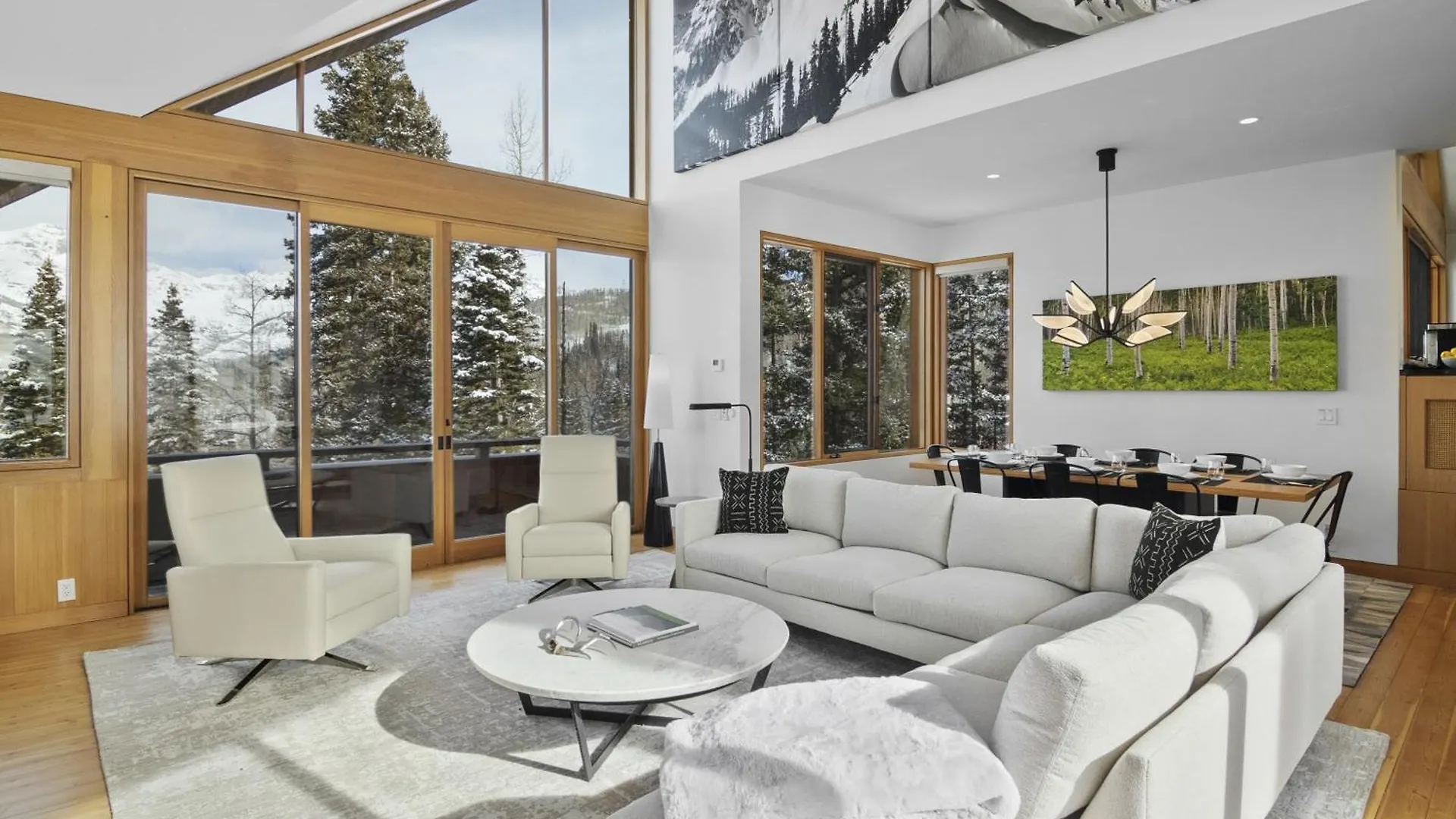 Four-bedroom House Telluride