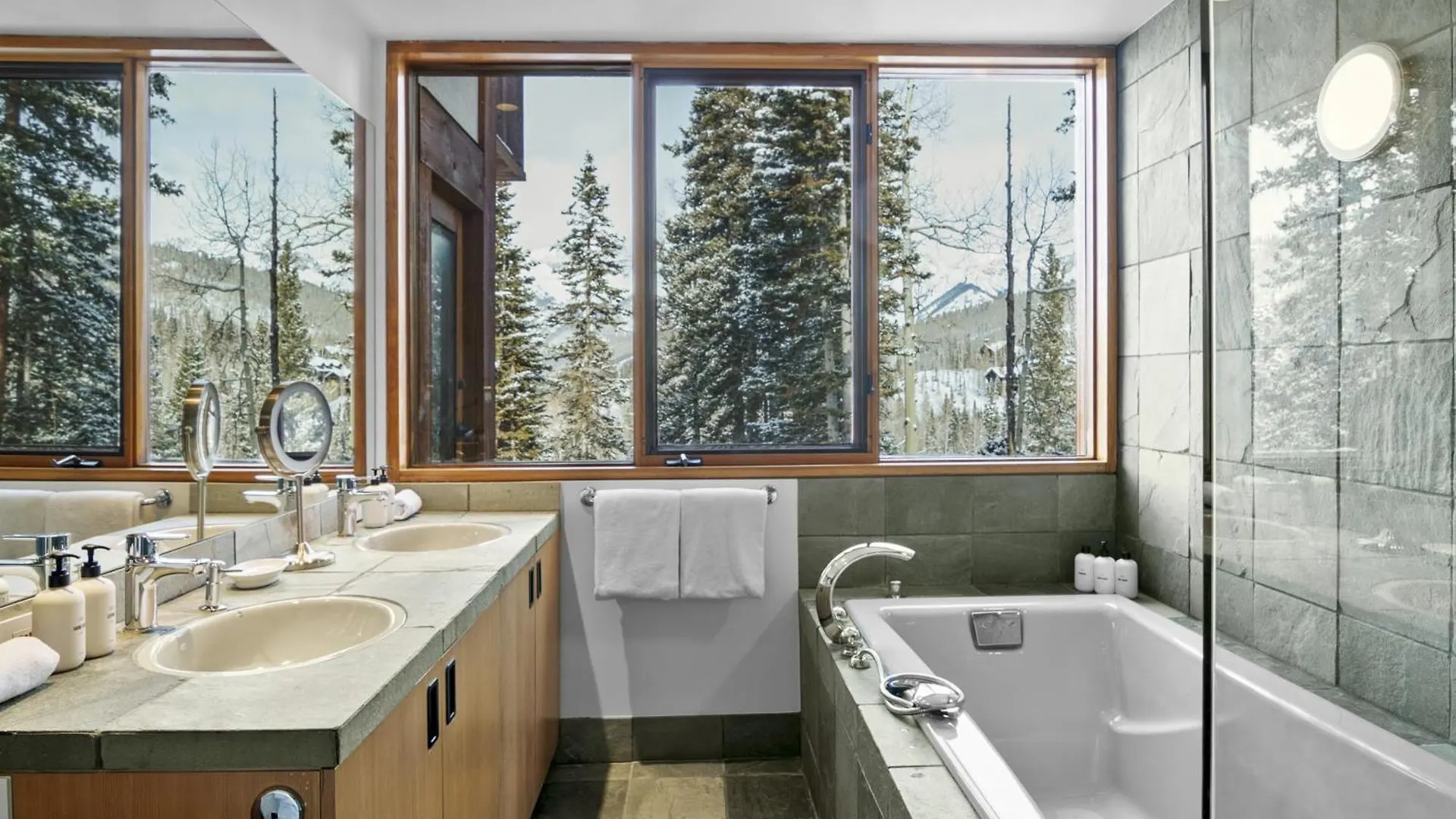 Four-bedroom House Telluride