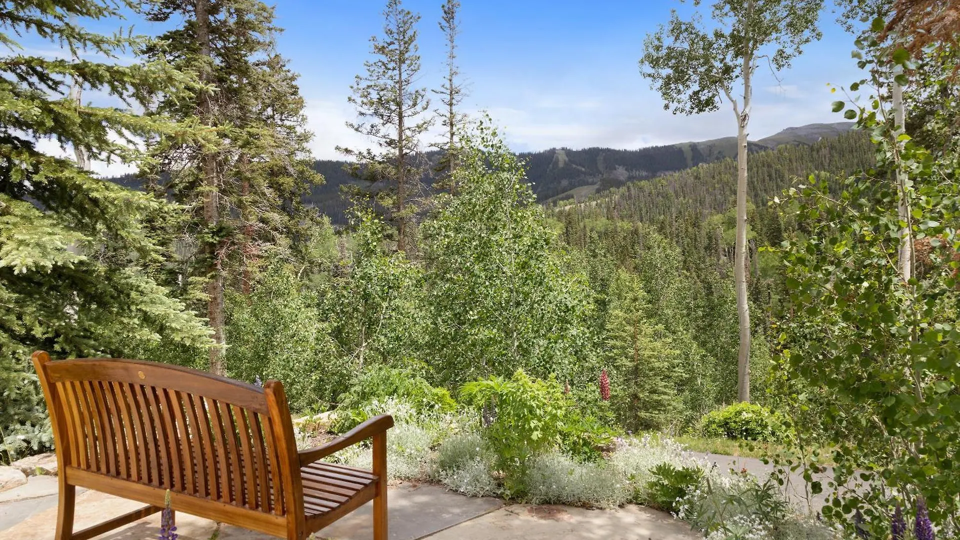 Hilltop Hideaway By Exceptional * Telluride