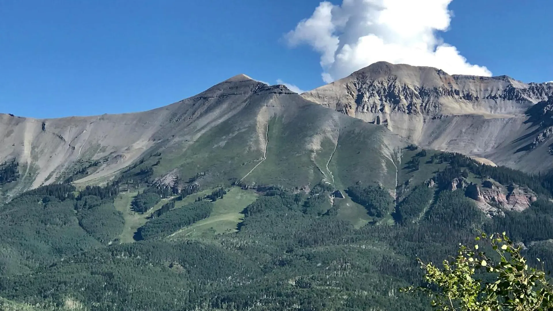 Sophia Sundance By Exceptional * Telluride
