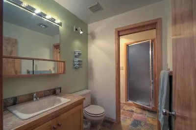 Apartment Lulu 3f Telluride