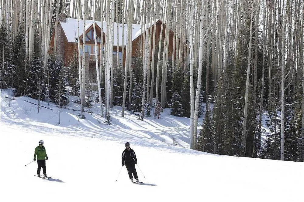 Snowdrift * Telluride