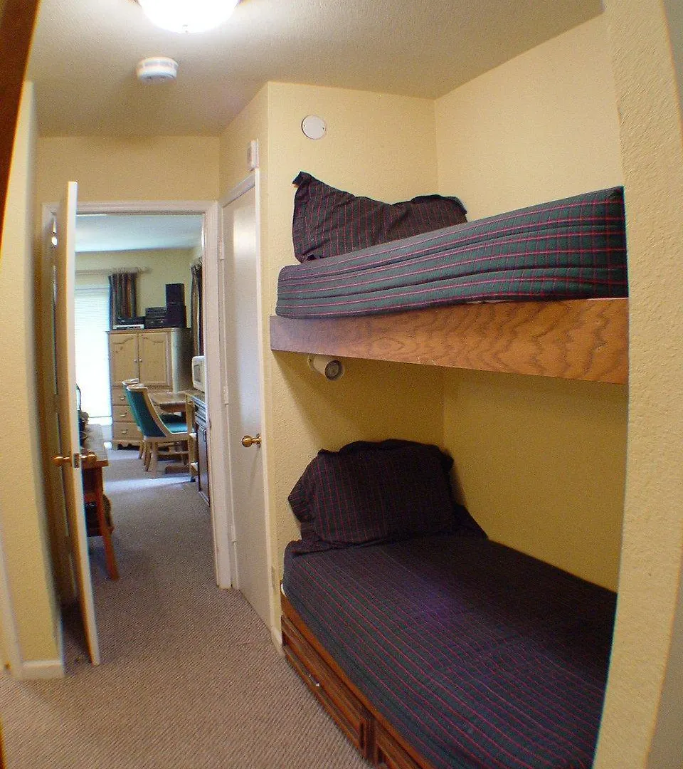 Apartment Viking 651 Telluride