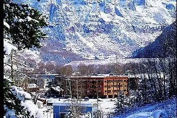 Ice House And Apartment Telluride