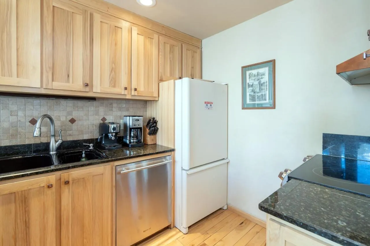 Διαμέρισμα Cornet Creek 101 - Cornet House Telluride