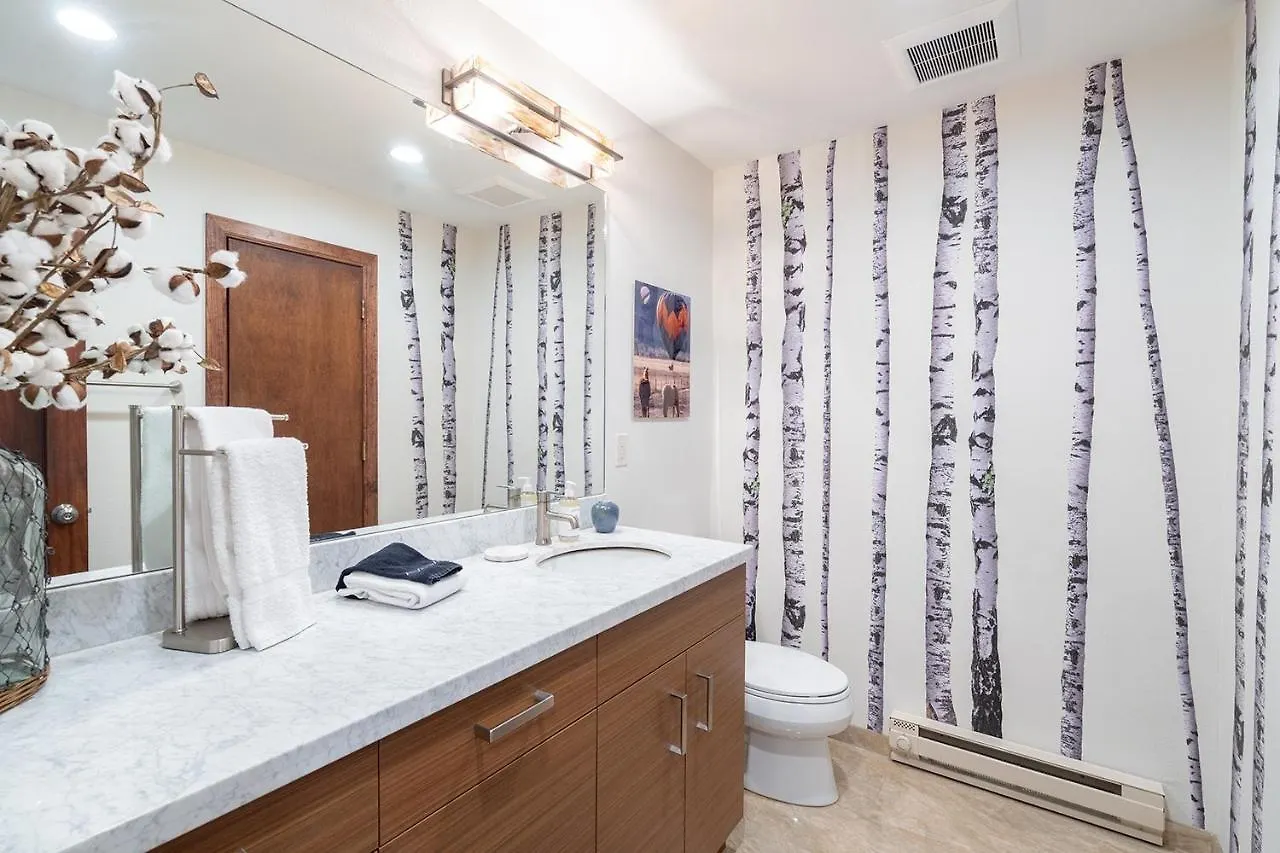 Apartment Big & Bright Hidden Gem With Garage, Hot Tub, Lux Kitchen Telluride