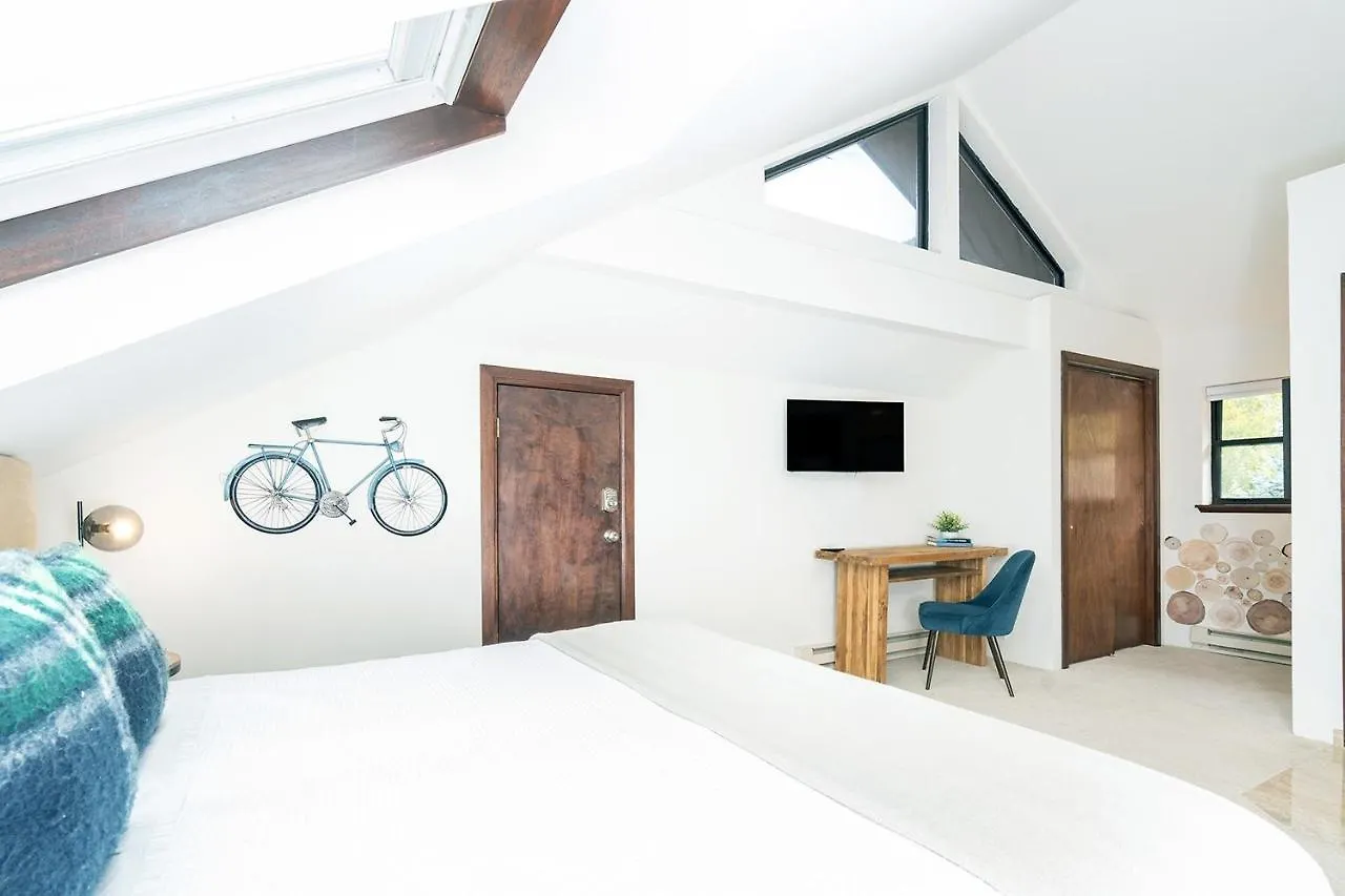 Big & Bright Hidden Gem With Garage, Hot Tub, Lux Kitchen Apartment Telluride
