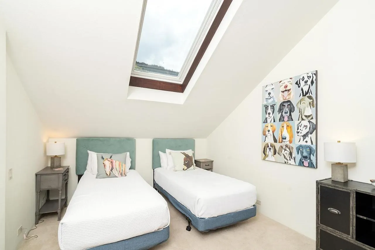 Big & Bright Hidden Gem With Garage, Hot Tub, Lux Kitchen Apartment Telluride