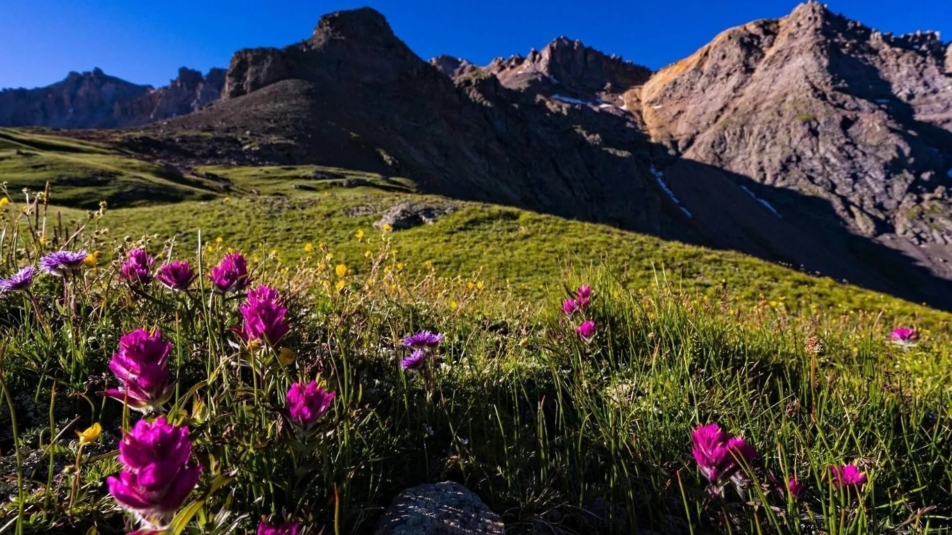 Vakantiehuis The Tucker Telluride