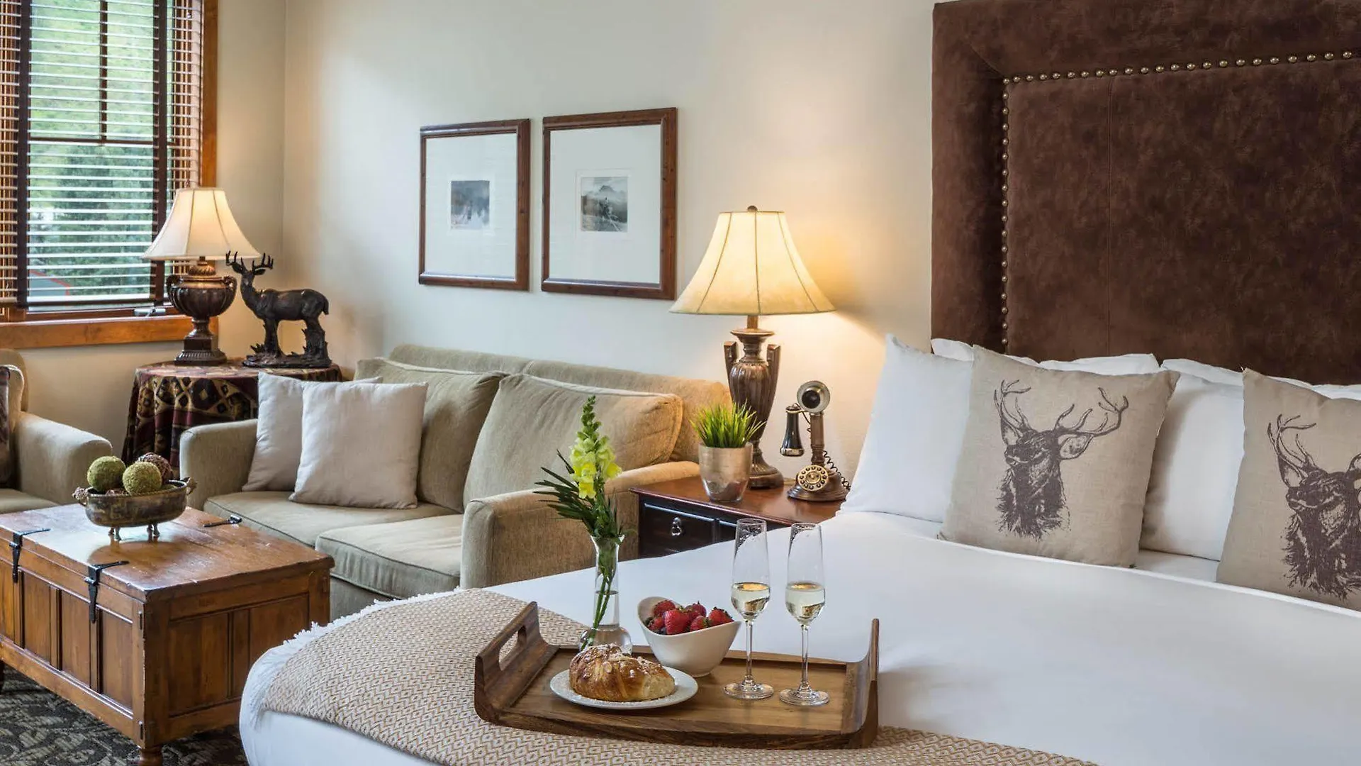 The 4* Telluride