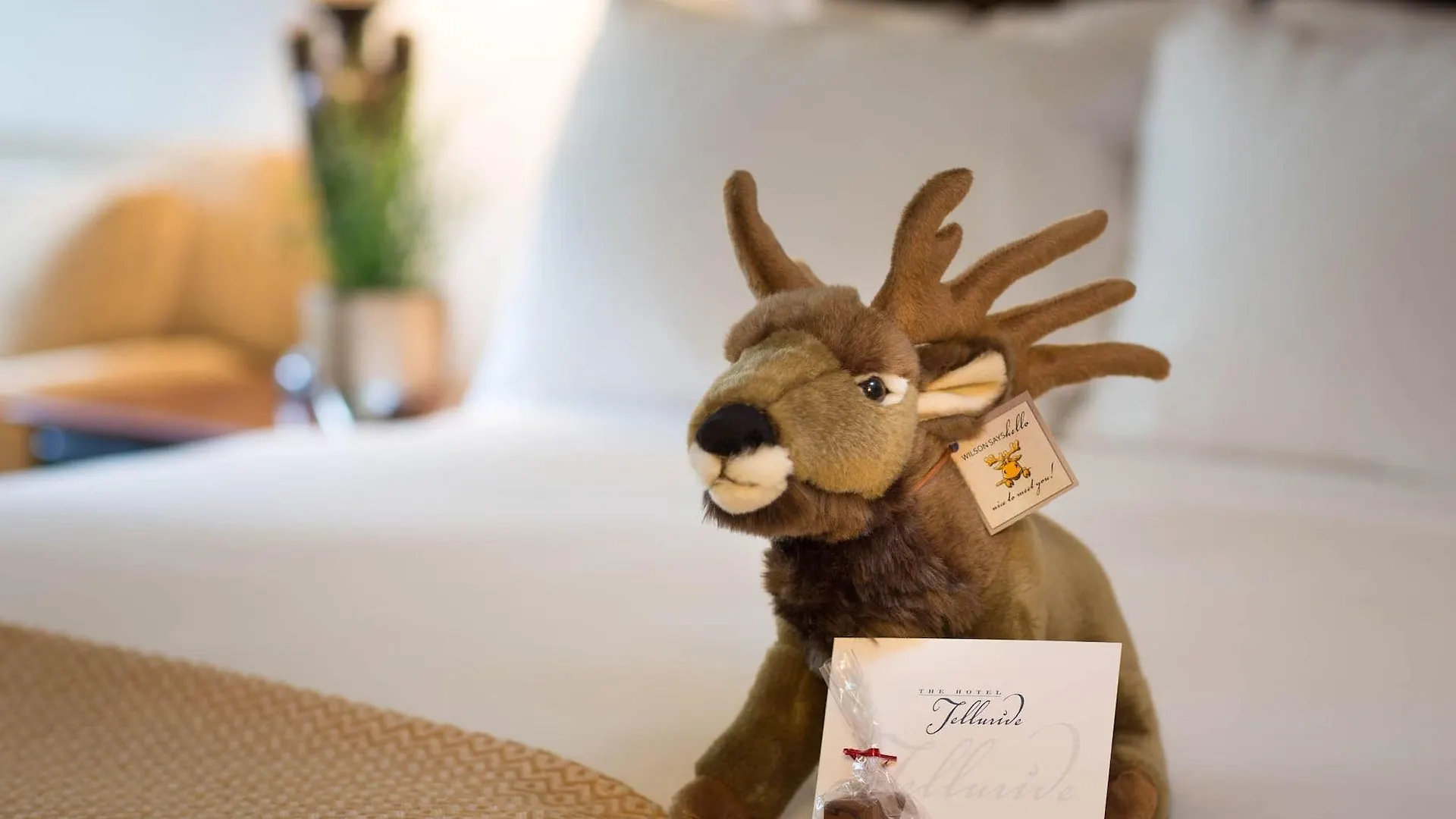 The 4* Telluride